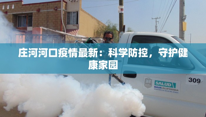 庄河河口疫情最新：科学防控，守护健康家园