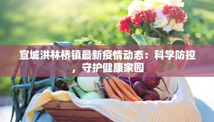 宣城洪林桥镇最新疫情动态：科学防控，守护健康家园