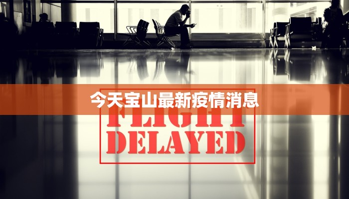 今天宝山最新疫情消息