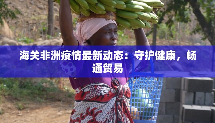 海关非洲疫情最新动态：守护健康，畅通贸易
