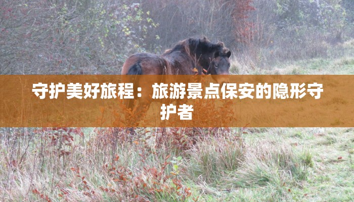 班竹最新疫情：守护健康，从了解开始