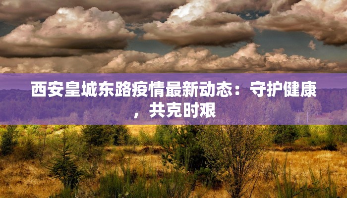 西安皇城东路疫情最新动态：守护健康，共克时艰