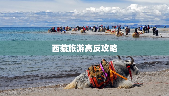 西藏旅游高反攻略 西藏旅游高反攻略
