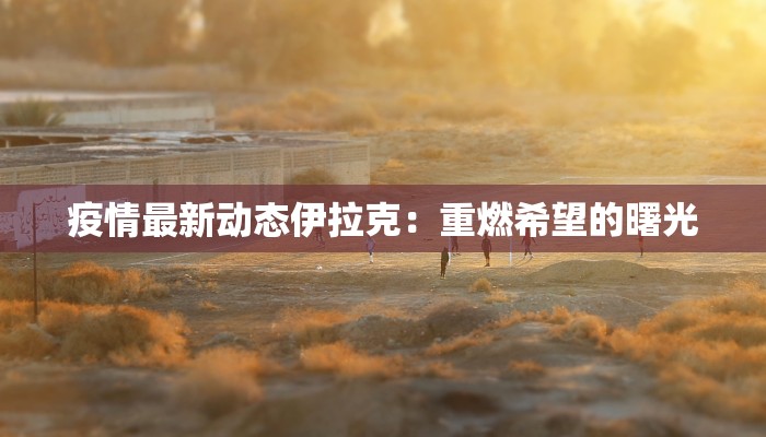 疫情最新动态伊拉克：重燃希望的曙光