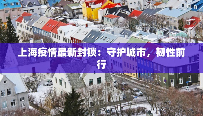 上海疫情最新封锁:守护城市,韧性前行 上海疫情最新封锁:守护城市,韧性前行
