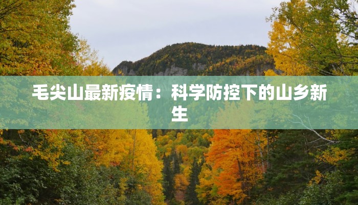 毛尖山最新疫情：科学防控下的山乡新生