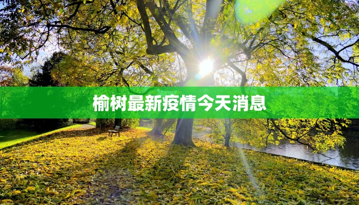 榆树最新疫情今天消息 榆树最新疫情今天消息