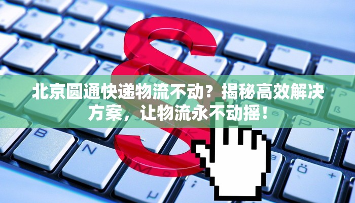 天津元旦疫情最新消息：科学防控，共筑平安新年